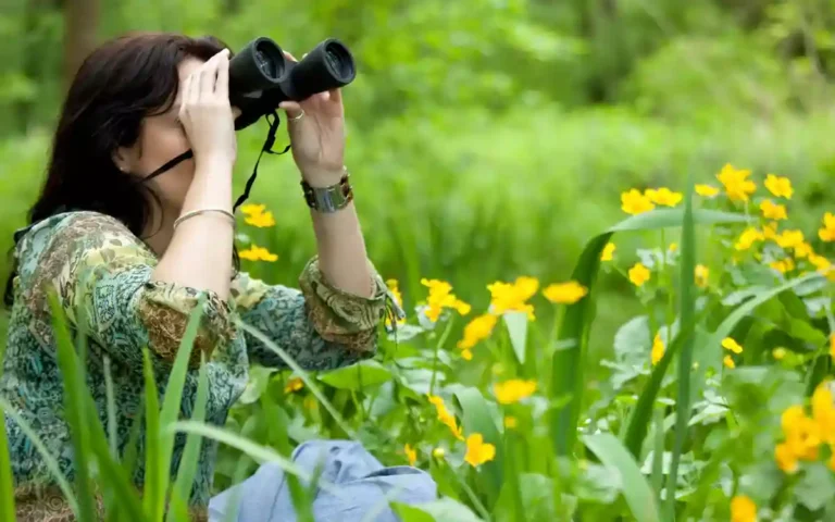 11 Birdwatching Spots In The US You Shoud Know