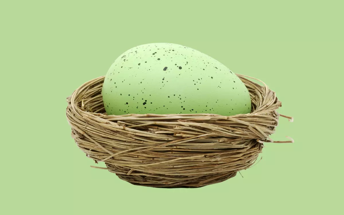 9 Bird Lays Green Eggs That Colour of Beauty