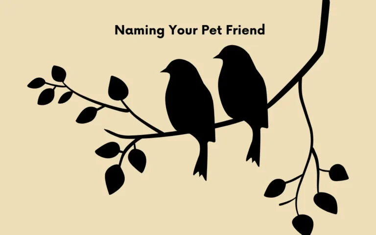 Naming Your Pet Friend